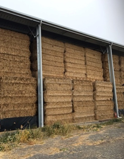 250mt Wheaten Straw 550kg 8x4x3 Bales
