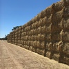 100mt Barley Hay 650kg approx 8x4x3