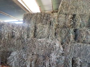 Small Square Bales from pastures 