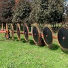 9 Wheel In Line Hydraulic Hay Rake