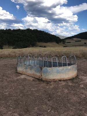 Rectangle Hay Feeder - 2 available