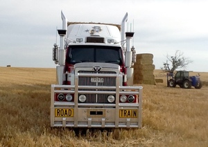 Transport/Freight Contractor