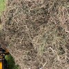 Persian Clover Hay