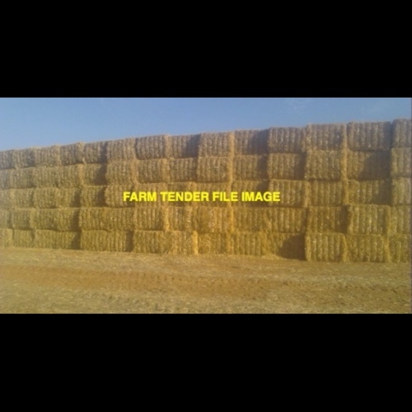 Barley Header Tailings