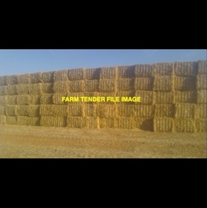 Barley Header Tailings