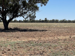 Vendors have agreed to meet the market- All offers submitted. 160 Acres of Farming/Lifestyle Property For Sale with Water