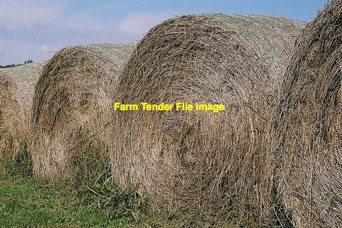 Barley Straw Rolls  