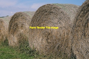 Barley Straw Rolls