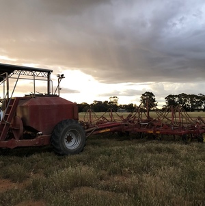 International Box 30ft Sunflower Field Bar