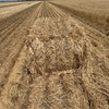 Wheaten Straw 450kg 8x4x3 Bales