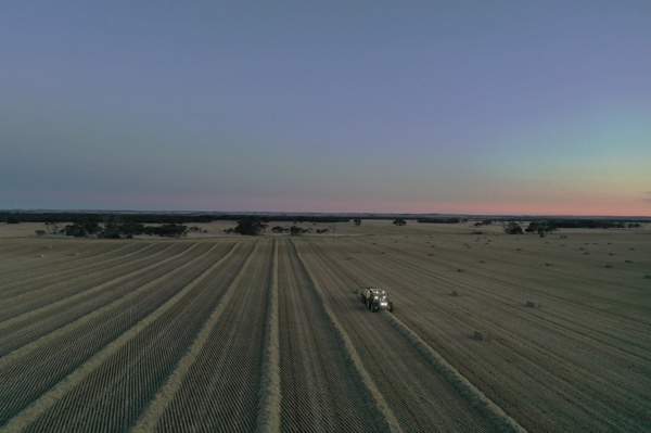 500mt Oaten Hay 8x4x3 HD Bales