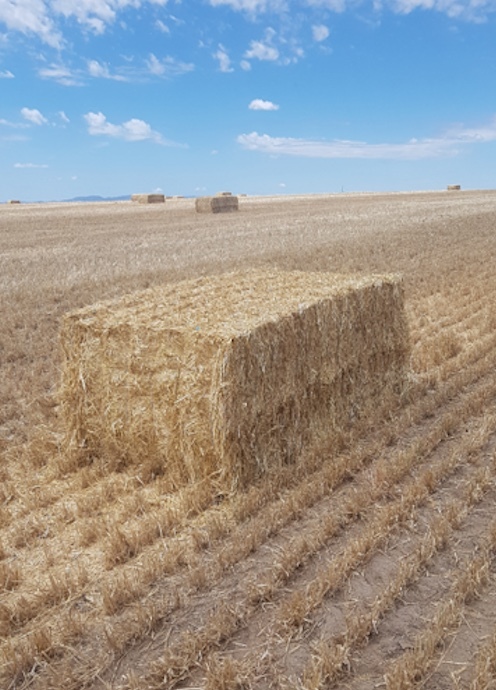 700 7.6ME Barley Straw 540kg 8x4x3HD Bales