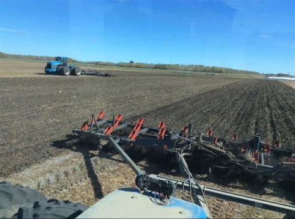 WANTED Friggstad Chisel Plow