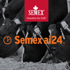 Semex ai 24 Heat Time Pro system with 190 collars (only 16 months old)