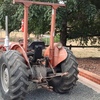 Massey Ferguson 35 3 cylinder Perkins diesel - quick sale.