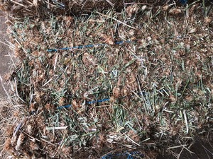 Clover hay small squares in bale baron packs