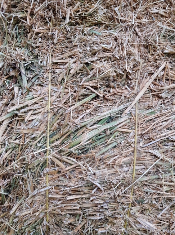 Canola Hay 8x4x3 x 88 Bales