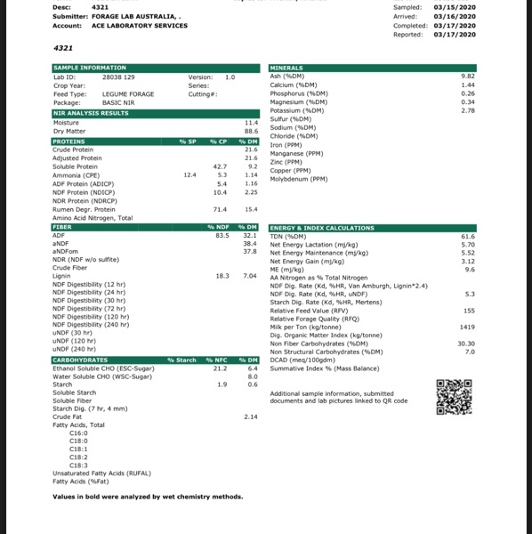 52-55mt Lucerne Hay 8x4x3 Bales