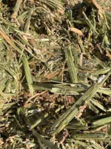 Shedded Canola Hay 8x4x4 Bales 750kgs