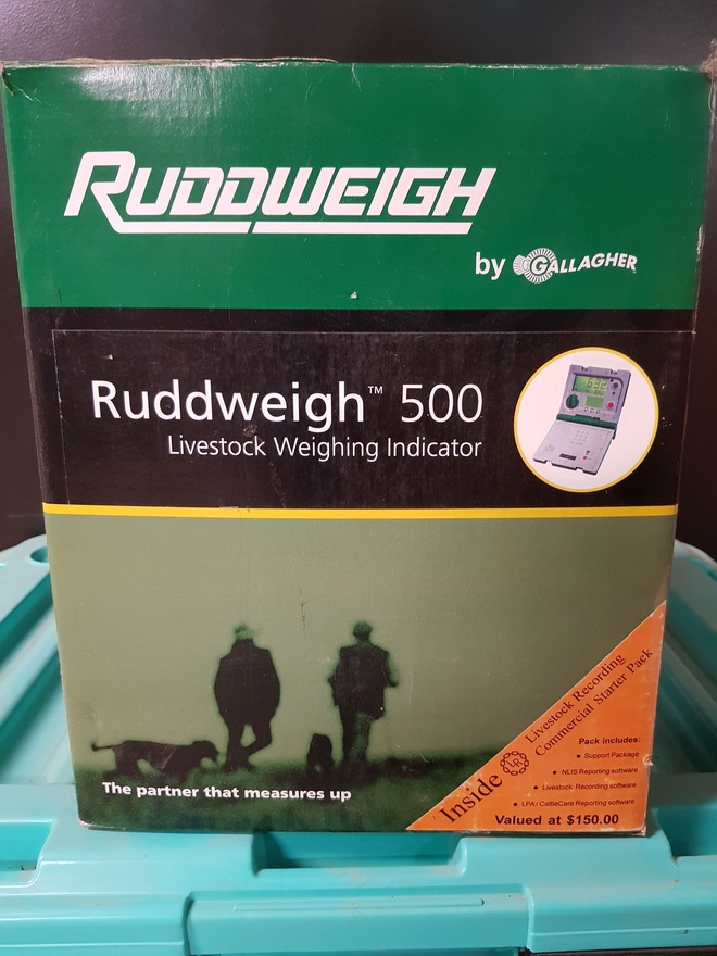 Ruddweigh 