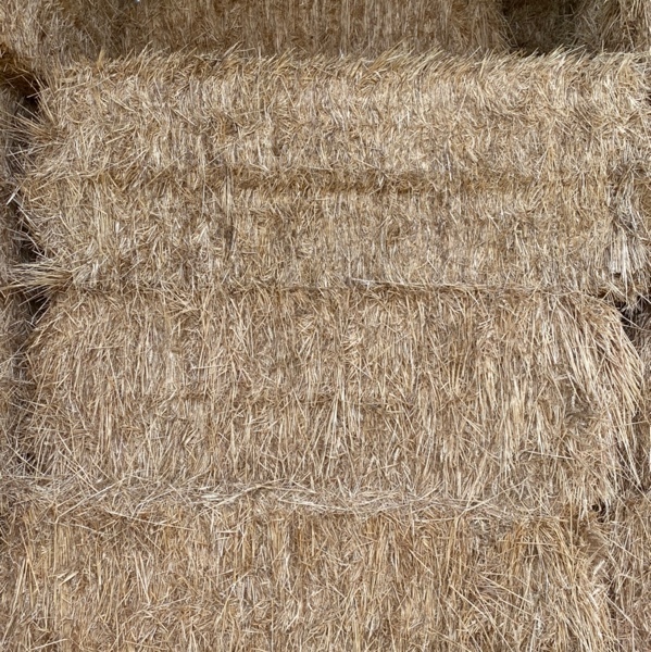 wheat sttaw 