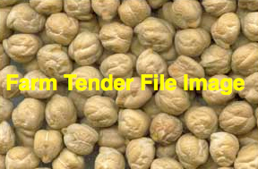 44mt Kabuli Chickpeas