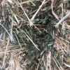 1 x B Double load of Clover & Oaten Hay For Sale