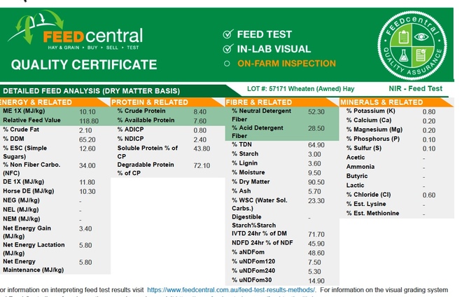350mt Wheaten Hay 650kg 8x4x3 Bales 