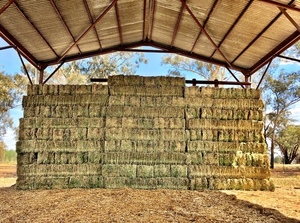 Lucerne Hay Small Squares - Canowindra NSW