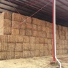 New Season Barley Straw 8x3x3