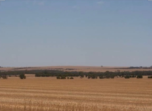 WANTED Farm land with shed Echuca/Torrumbarry area
