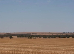 WANTED Farm land with shed Echuca/Torrumbarry area