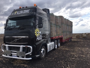 Sorghum stubble hay bales 4x4