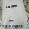 Lucerne Seed