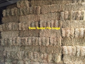 WANTED Barley Straw in Small Bales