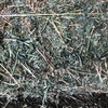 500 Small square Bales Lucerne Hay - SOLD PER BALE