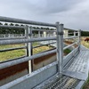 WANTED Share Farmer for Feedlot Rental (up to 1,000 cows)