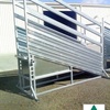 Cattle Ramp