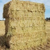 500mt Barley Hay 600-650kg 8x4x3 Bales (New Season 2019-2020)