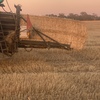 200mt Wheaten Straw 400kg 8x4x3 Bales