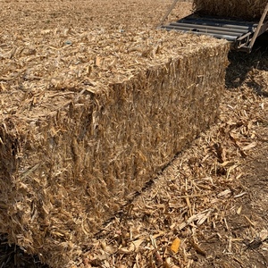 Corn Stubble 8x4x3 Bales