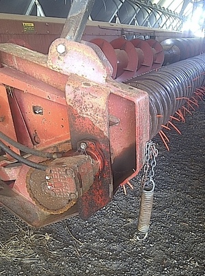 30ft Ruwoldt Pea Plucker For Sale