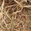 Chaff Quality Oaten Hay Rolls