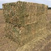Canola Hay
