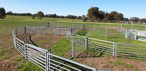 Brand New 710 head semi permanent sheep yards.