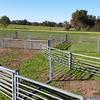 Brand New 710 head semi permanent sheep yards.