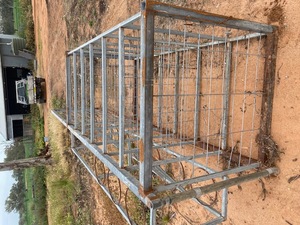 Calf Management Feedlot