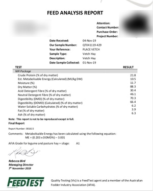 80mt Vetch Hay 670kg 8x4x3 Bales ex farm