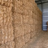 Shedded Barley Straw - conventional header straw