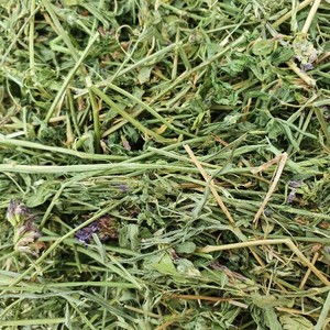 55mt Lucerne Hay 620kg 8x4x3 Bales 